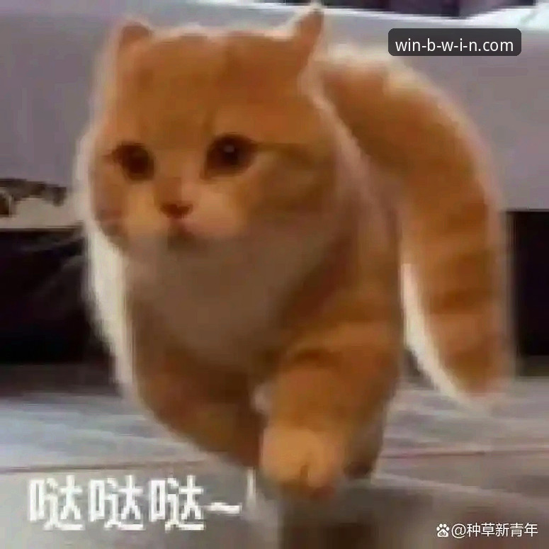 BWIN必赢平台使用教程深度解析：从注册到玩转全攻略